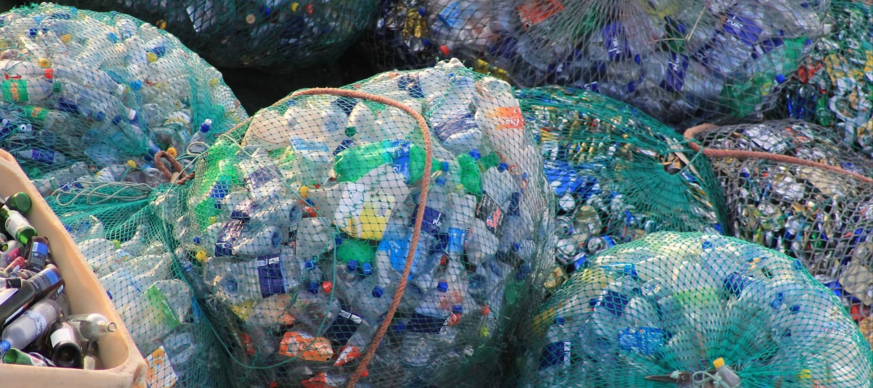 Фото новости: "В России c 2024 г. могут запретить цветные пластиковые бутылки"