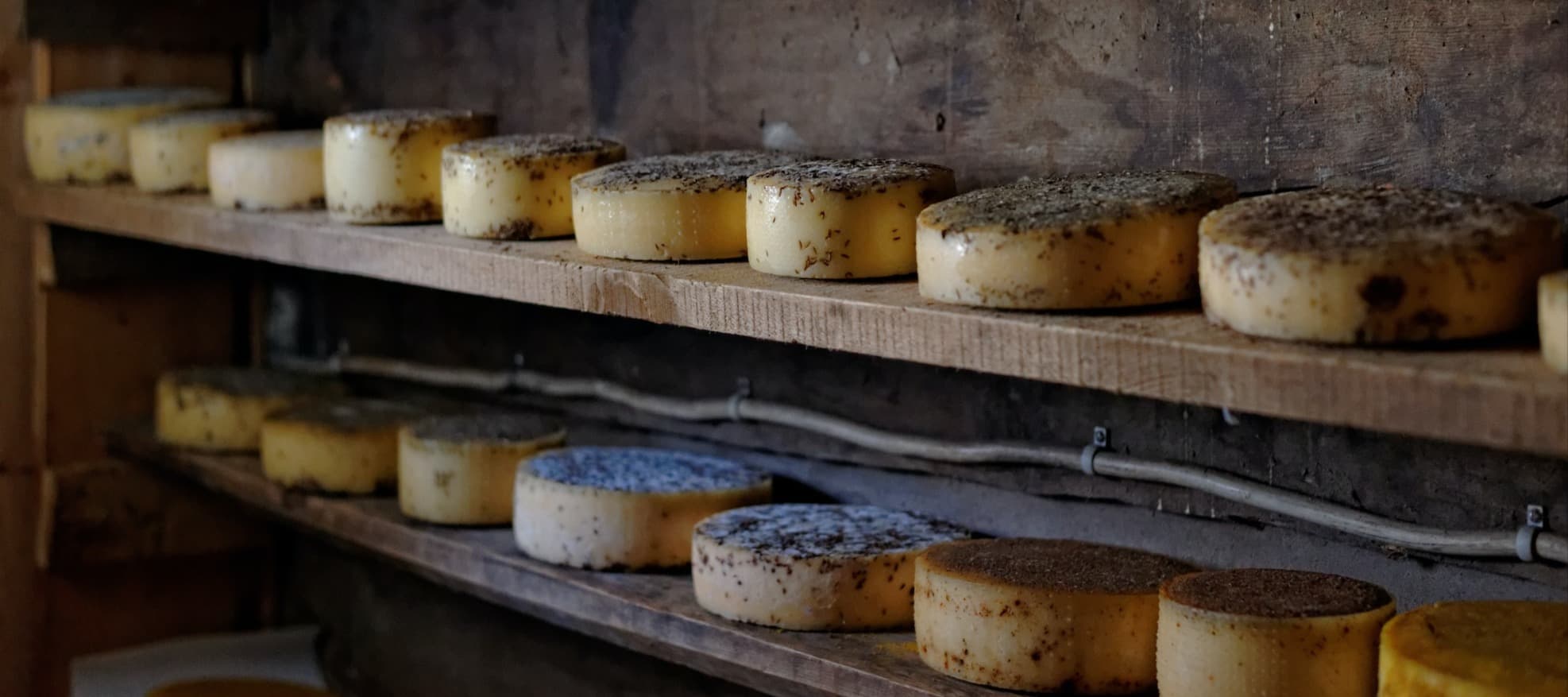 Фото новости: "В Татарстане построят завод по производству сыра за 3 млрд руб."