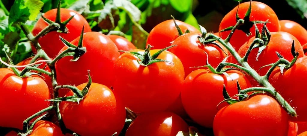 Фото новости: "Цены на помидоры в России за неделю выросли на 5,6%"