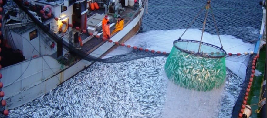 Фото новости: "АФК «Система» продала долю в рыбопромышленном бизнесе профильному инвестору"