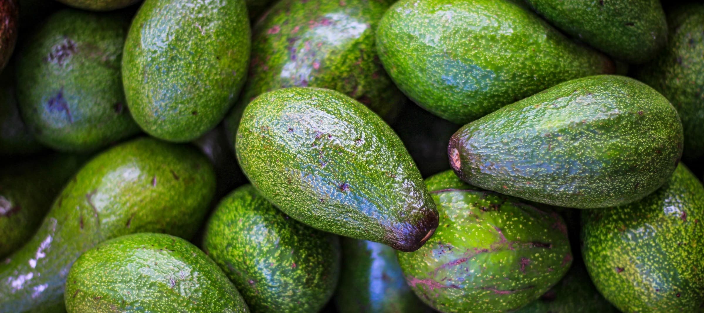 Фото новости: "В России за год кратно вырос спрос на авокадо"
