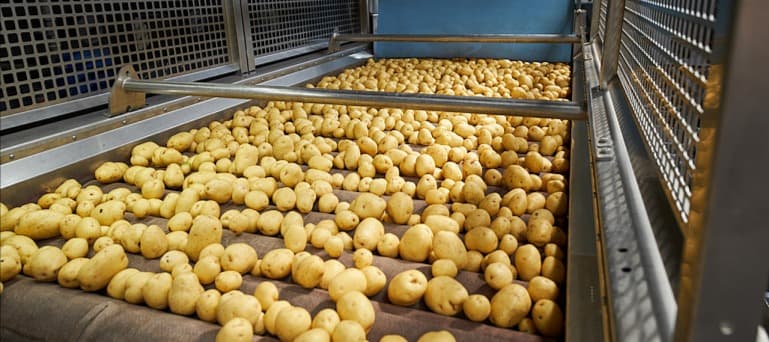 Фото новости: "«Мираторг» и «Вкусно — и точка» дополнительно вложат почти 6 млрд руб. в строительство завода по производству картофеля"