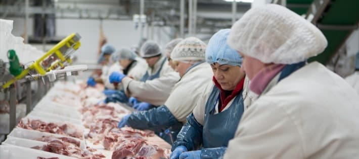 Фото новости: "«Великолукский агрохолдинг» построит мясокомбинат за 30 млрд руб."