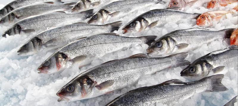 Фото новости: "Китай и Гонконг приостановили импорт рыбы из Японии"