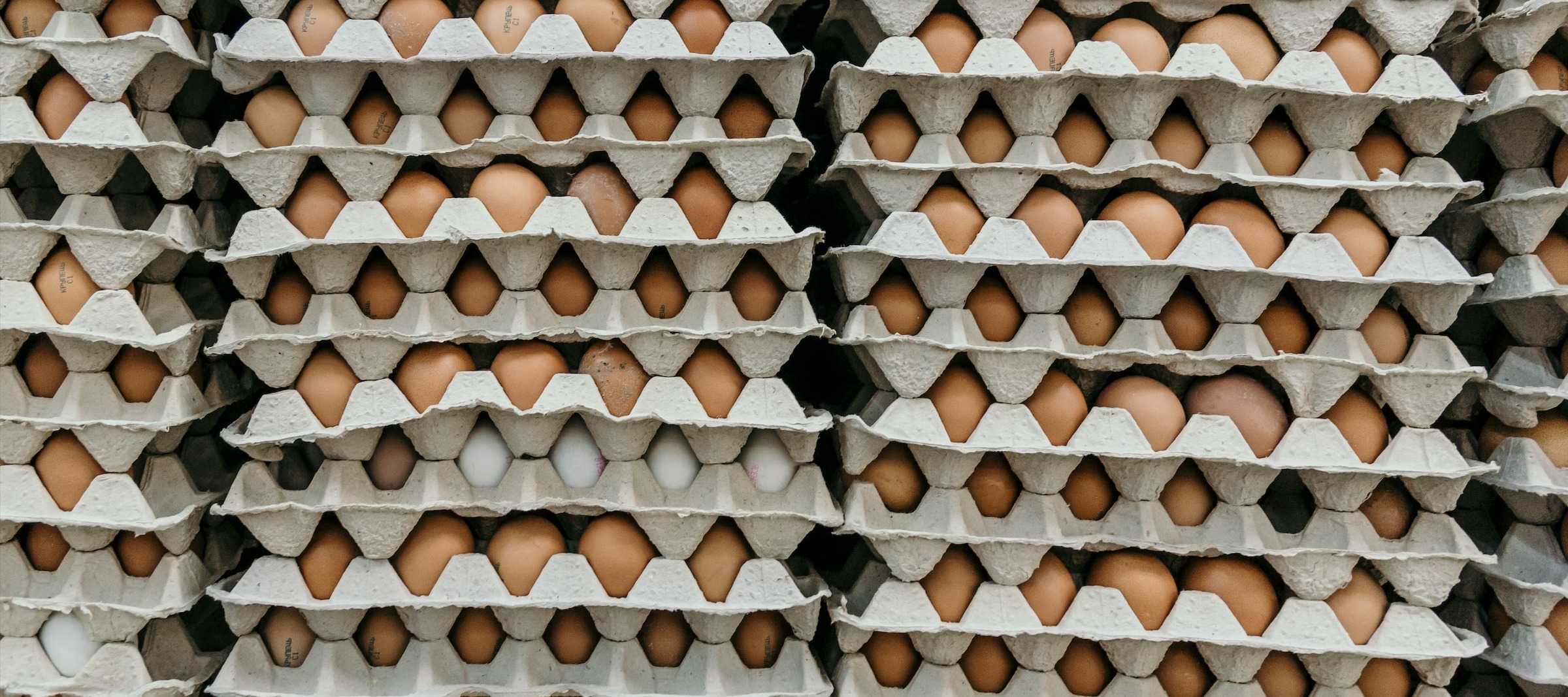Фото новости: "На челябинской птицефабрике роботы будут укладывать коробки с яйцами"