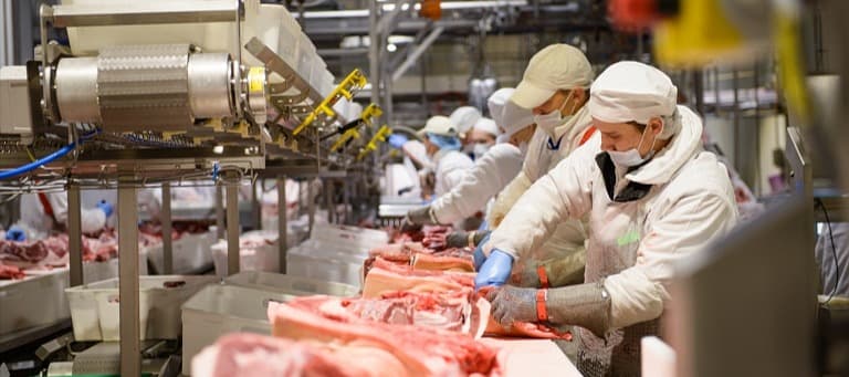 Фото новости: "Китай отменил ограничения на поставки свинины из России"