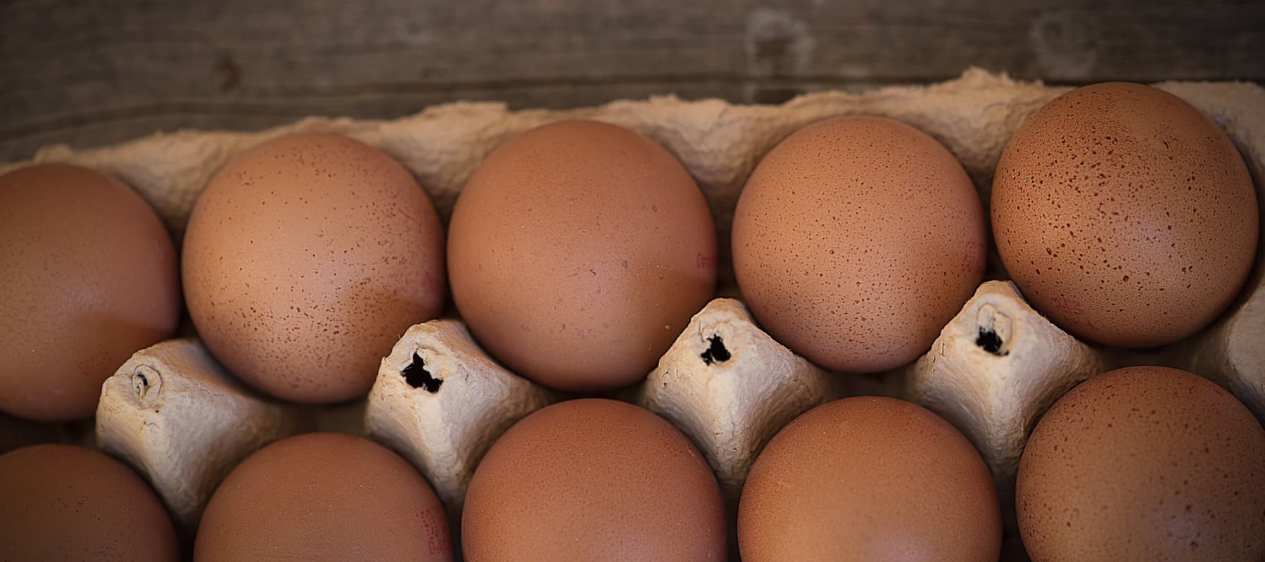 Фото новости: "Оптовые цены на куриные яйца выросли за сентябрь почти на 9%"