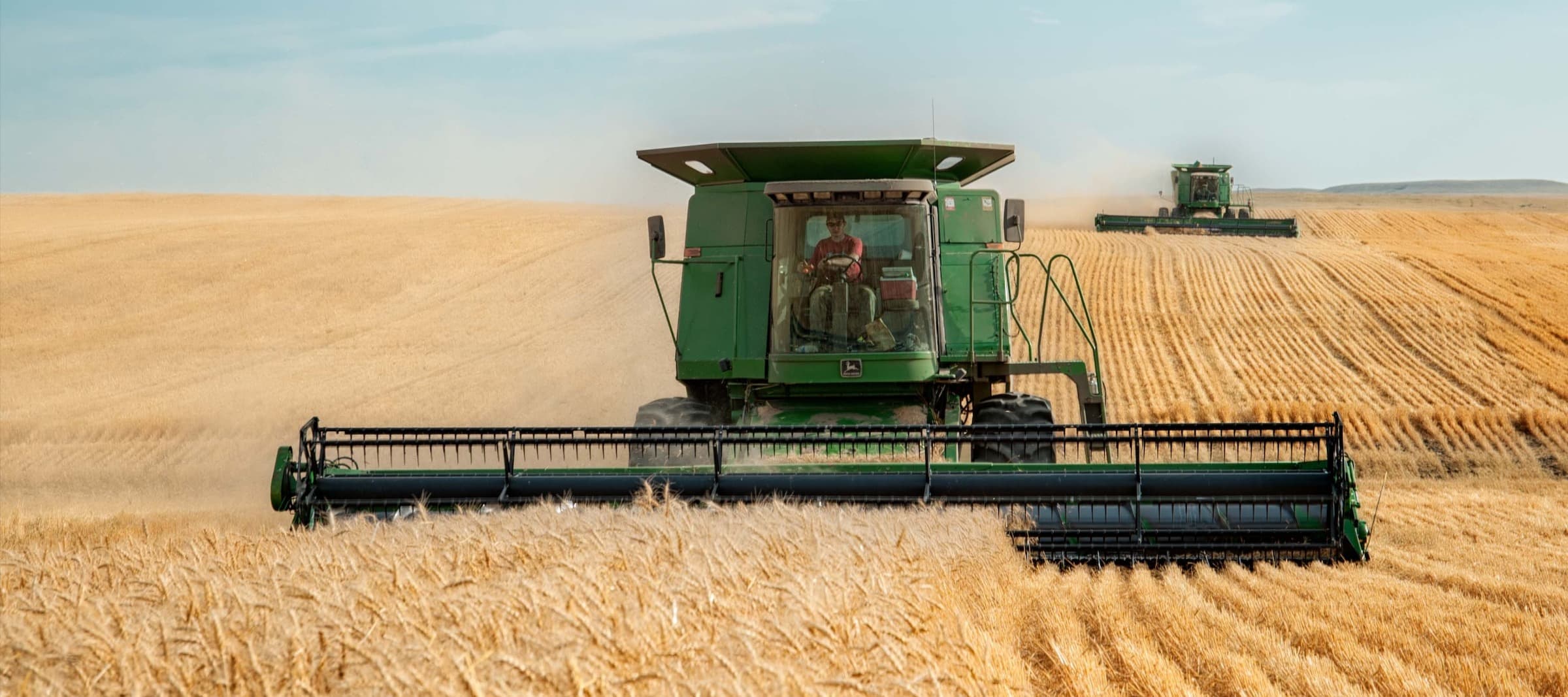 Фото новости: "В урожае 2023 г. доля продовольственной пшеницы снизилась"