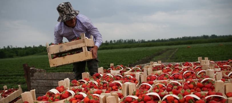 Фото новости: "Спрос на сотрудников в ритейле и сельхозотрасли сократится к 2030 г."